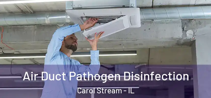  Air Duct Pathogen Disinfection Carol Stream - IL