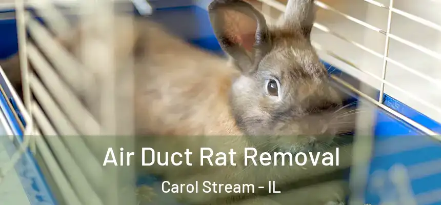  Air Duct Rat Removal Carol Stream - IL