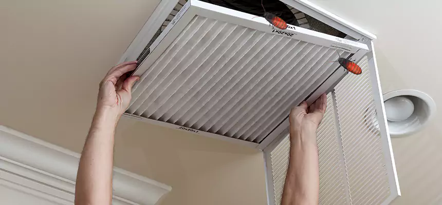 Preventive Cockroach-Proofing for Ducts in Carol Stream