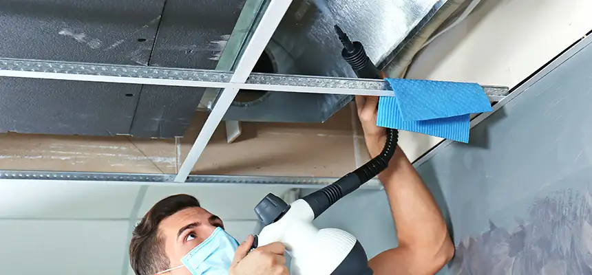 Our Air Duct Rodent Removal Services in Carol Stream, IL