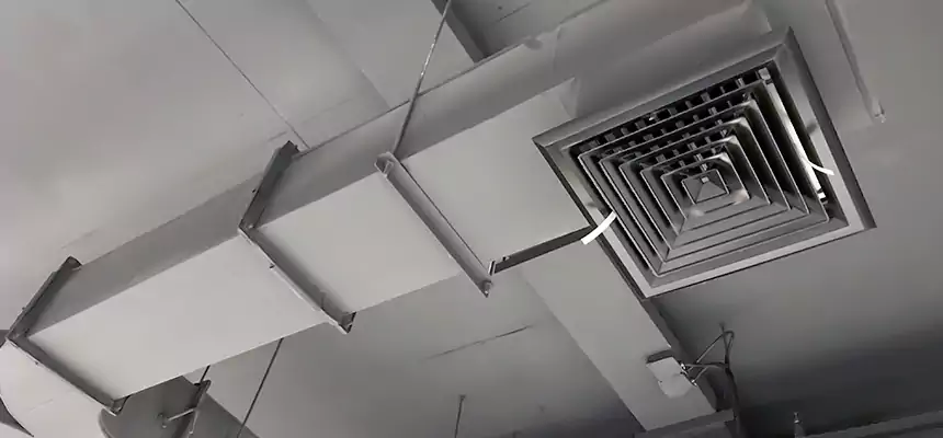 Restorative Allergy Relief Vent Cleaning – Coil, Blower & Housing Detail in Carol Stream