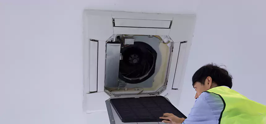 Our Dryer Vent Sanitization Service Services in Carol Stream, IL
