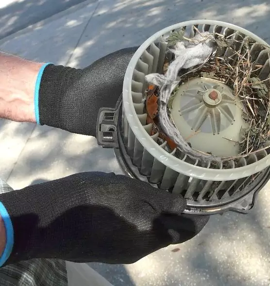 About Air Duct Rat Removal in Carol Stream, IL