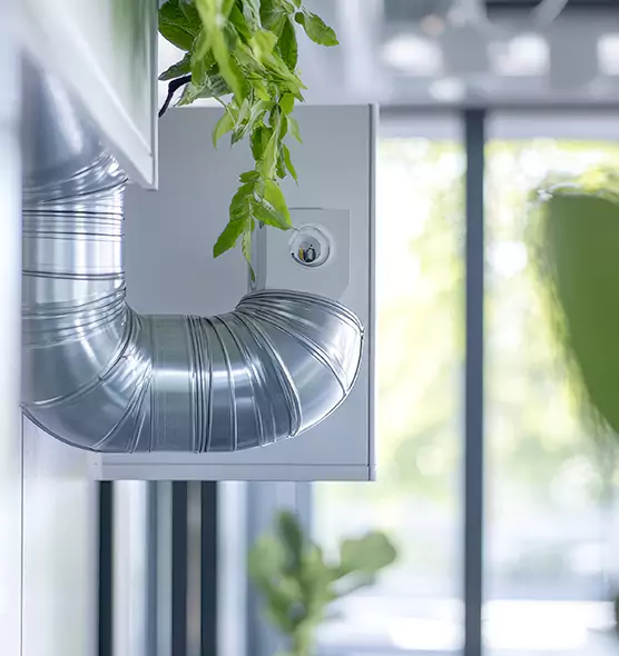 Professional Eco-Safe Dryer Vent Cleaning in Carol Stream, IL