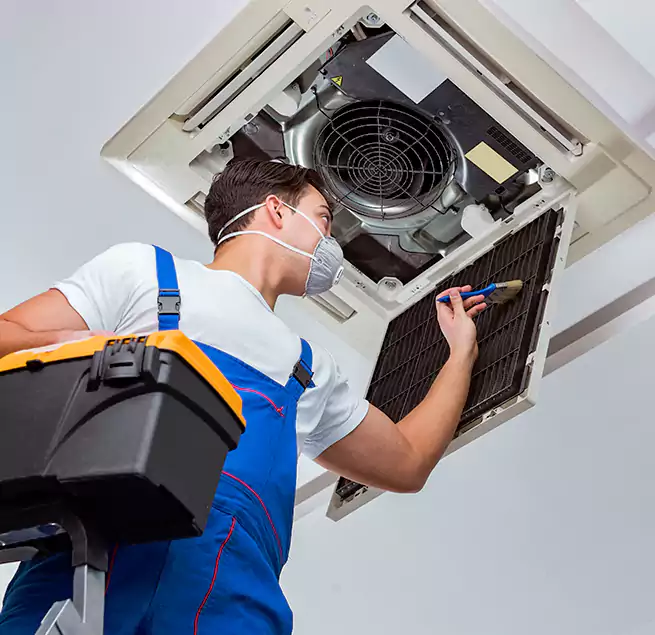 Why Homeowners & Businesses Trust Us in Carol Stream, IL