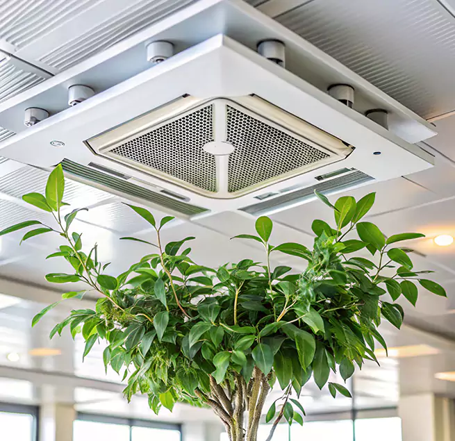 Why Homeowners & Businesses Trust Us in Carol Stream, IL