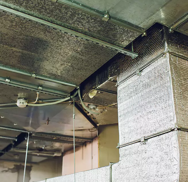 Why Homeowners & Businesses Trust Us in Carol Stream, IL?