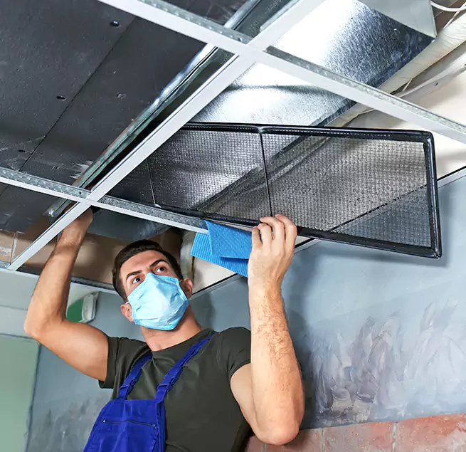 Why Homeowners & Businesses Trust Us in Carol Stream, IL?